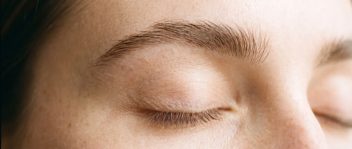 Close crop of a natural, softly brushed-up eyebrow above a closed eye